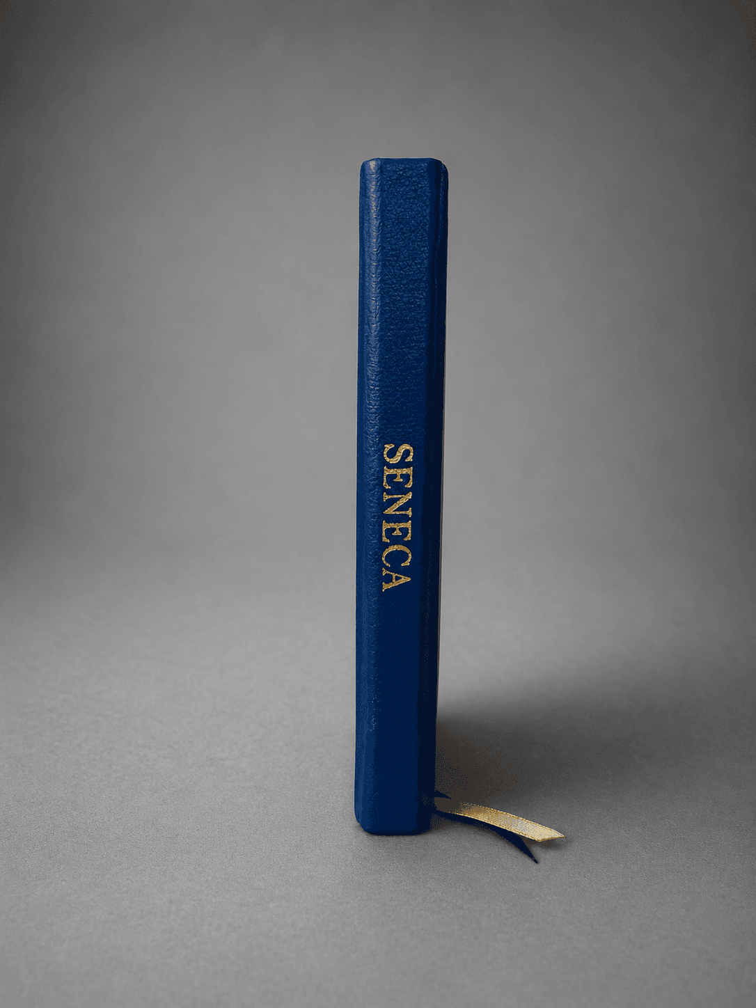 Gold-detailed spine of the Seneca edition