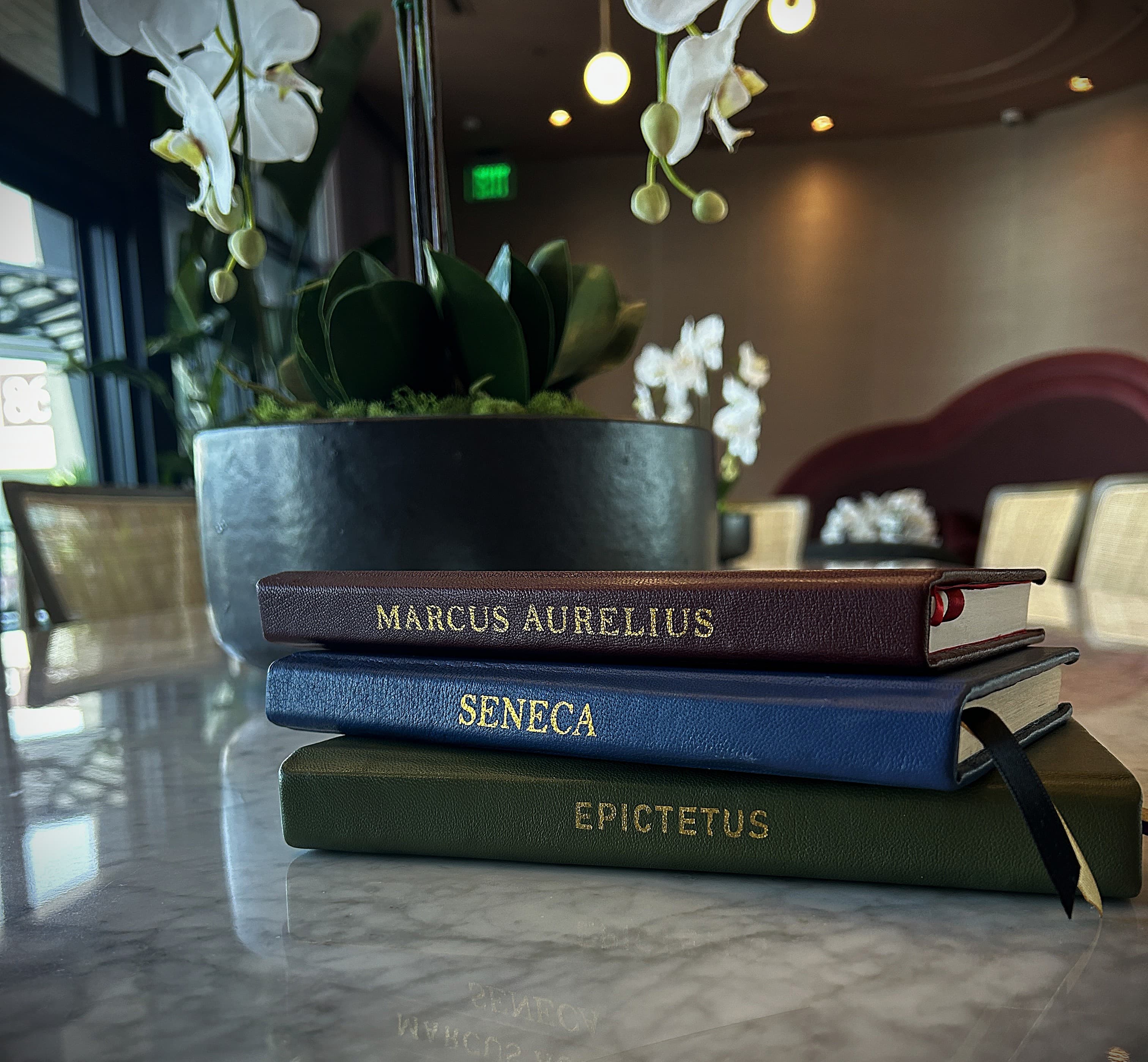 The Three Stoics collection in a reading space
